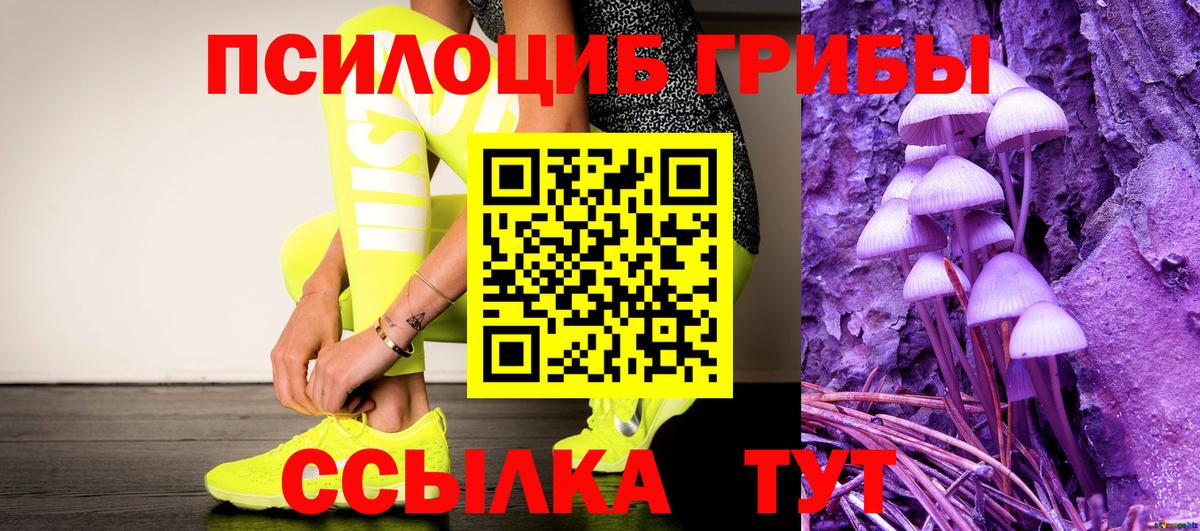 Пенза  Псилоцибиновые грибы GOLDEN TEACHER  Псилоцибиновые грибы мухоморы  Вход с VPN 